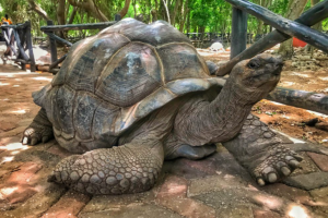 Screenshot 2021-05-01 2.29.19 PM Screenshot 2021-05-01 2.29.19 PM