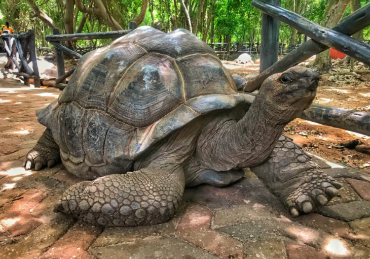 Screenshot 2021-05-01 2.29.19 PM