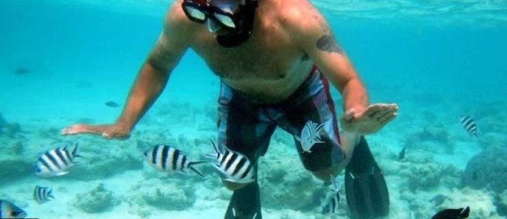 Screenshot 2021-05-01 2.40.12 PM